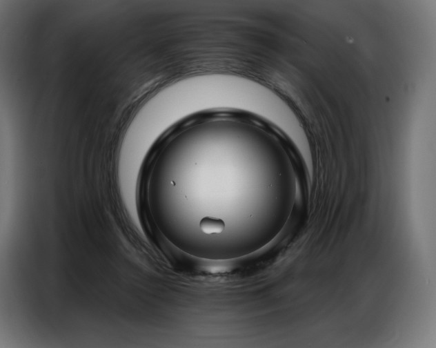 X0000086980356200704161452