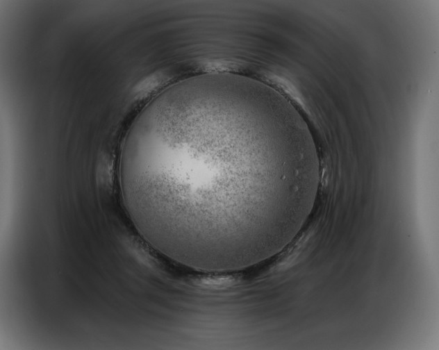 X0000086980357200704161452