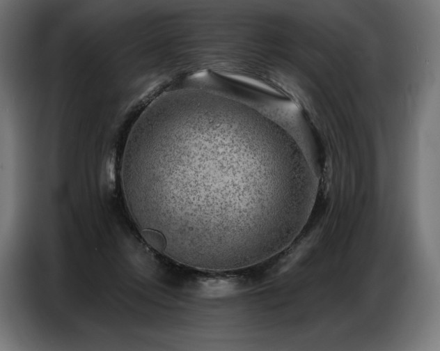 X0000086980358200704161452