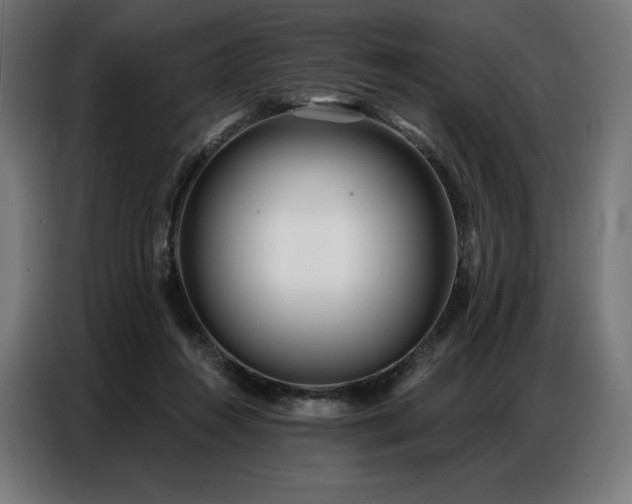 X0000086980360200704161452