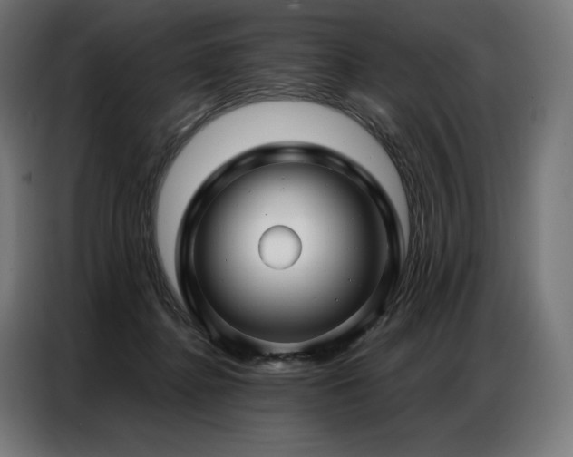 X0000086980364200704161452