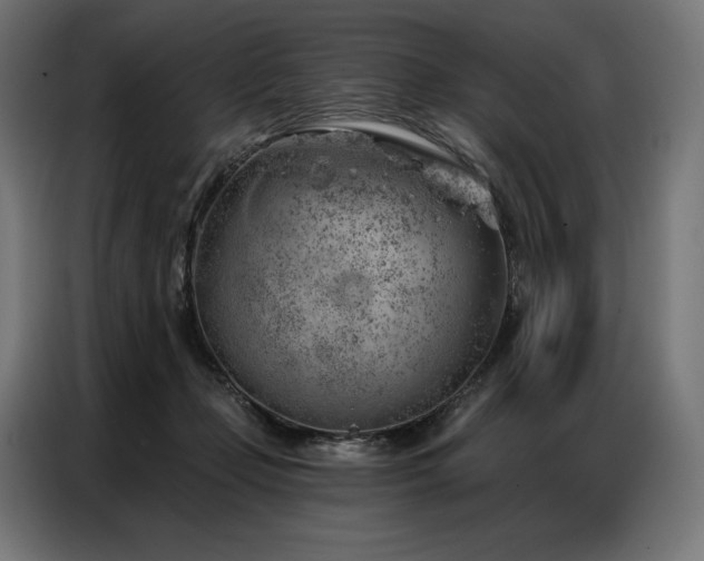 X0000086980365200704161452