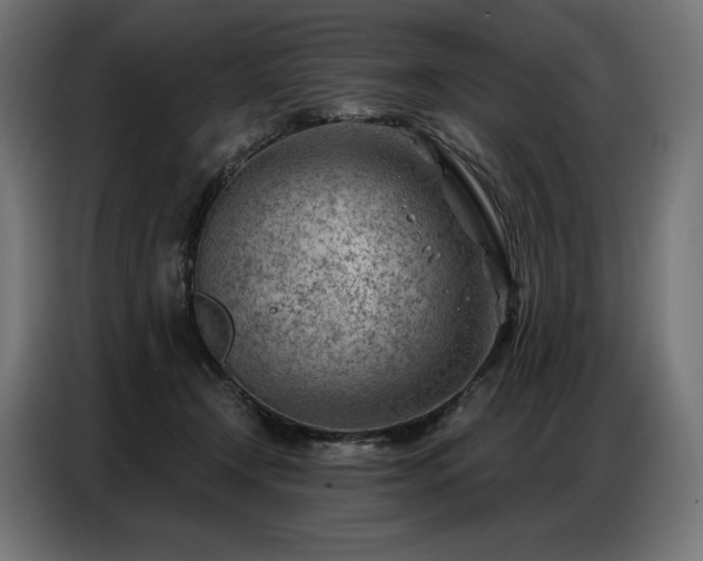 X0000086980366200704161452
