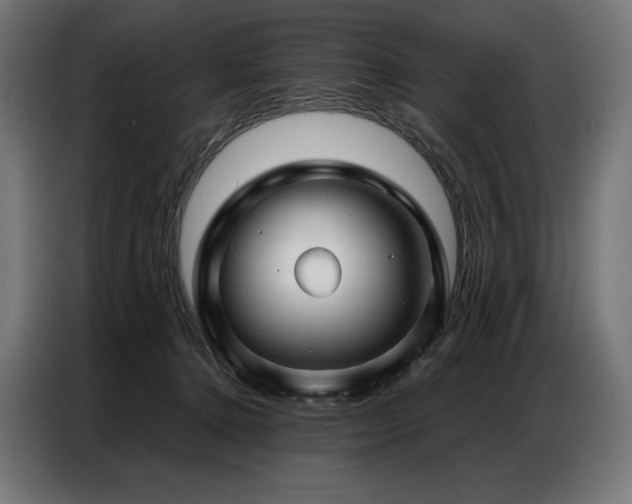 X0000086980368200704161452