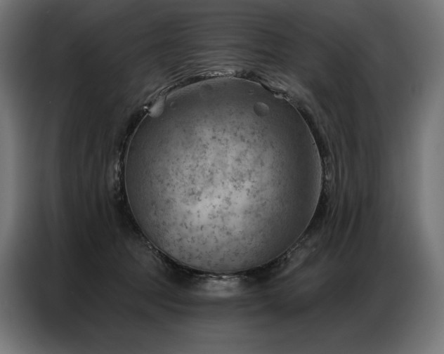 X0000086980369200704161452