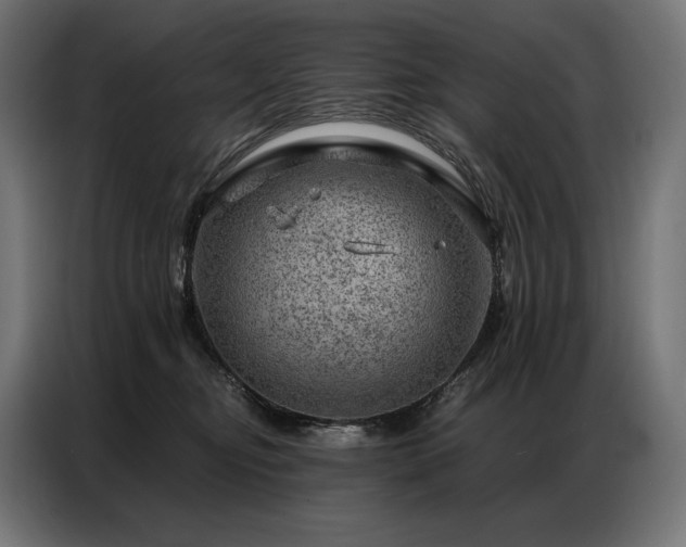 X0000086980374200704161452