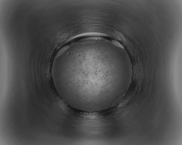 X0000086980377200704161452