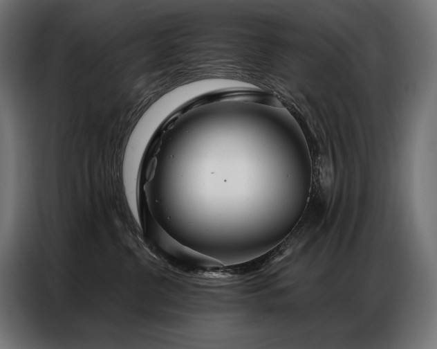 X0000086980380200704161452