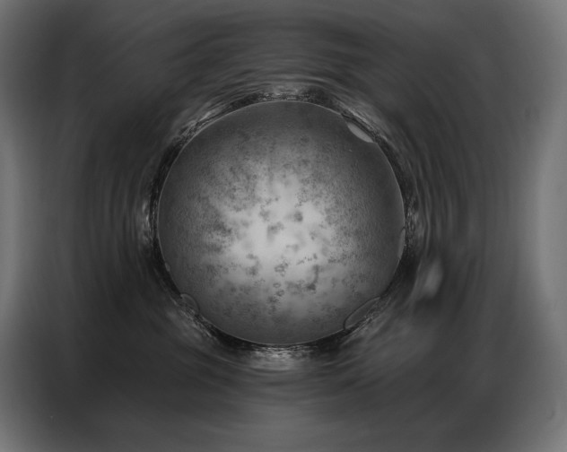 X0000086980381200704161452