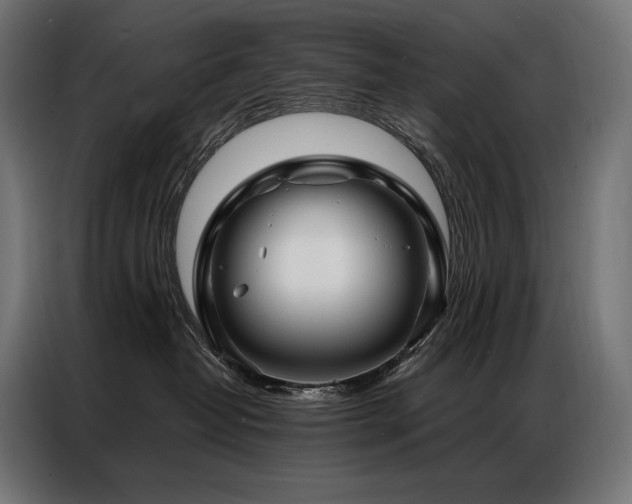 X0000086980382200704161452