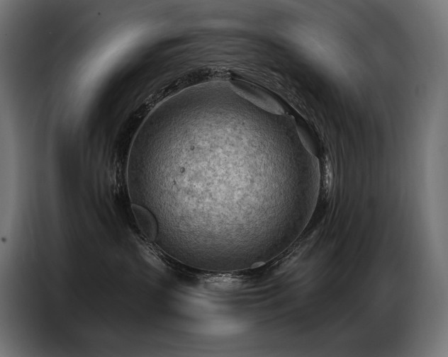 X0000086980383200704161452