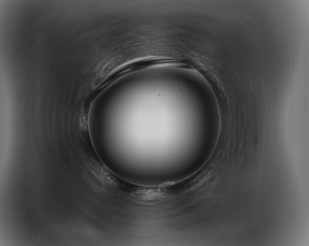 X0000086980384200704161452
