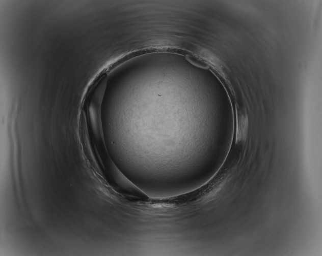X0000086980387200704161452