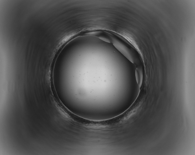 X0000086980389200704161452