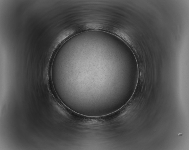 X0000086980390200704161452
