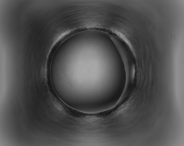 X0000086980391200704161452