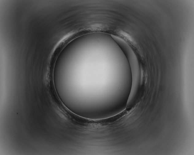 X0000086980392200704161452