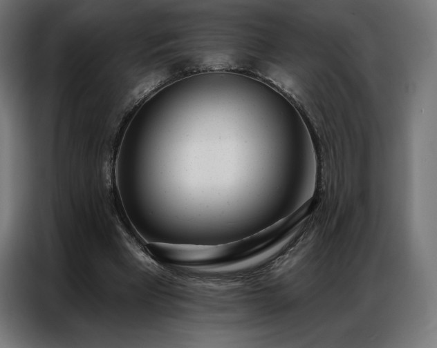 X0000086980393200704161452