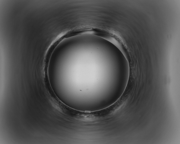 X0000086980395200704161452