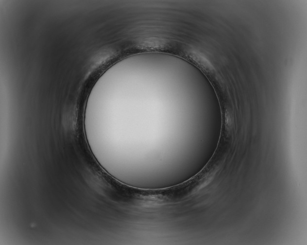 X0000086980396200704161452