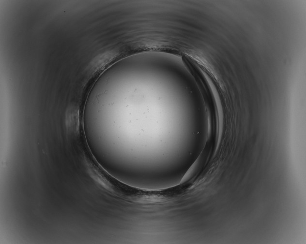 X0000086980397200704161452