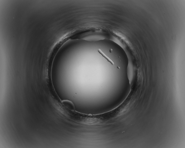 X0000086980399200704161452