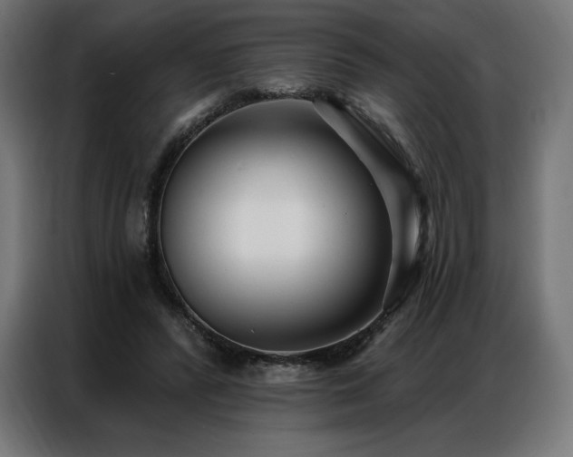 X0000086980400200704161452