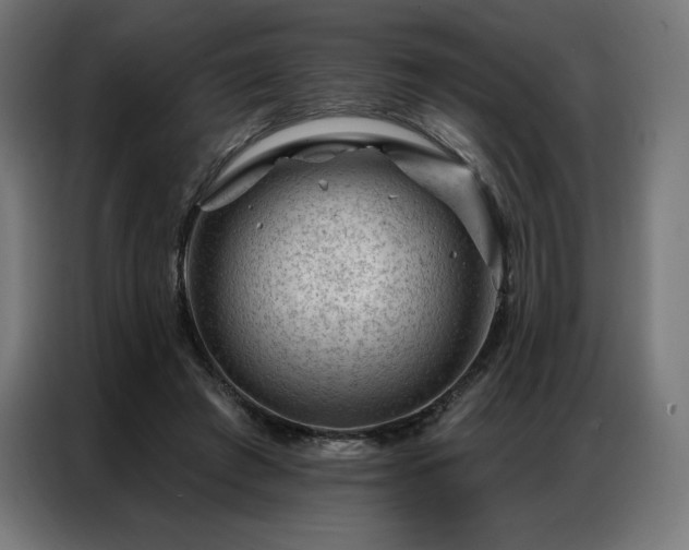 X0000086980401200704161452