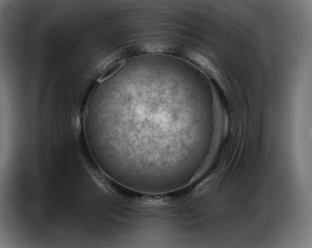 X0000086980405200704161452