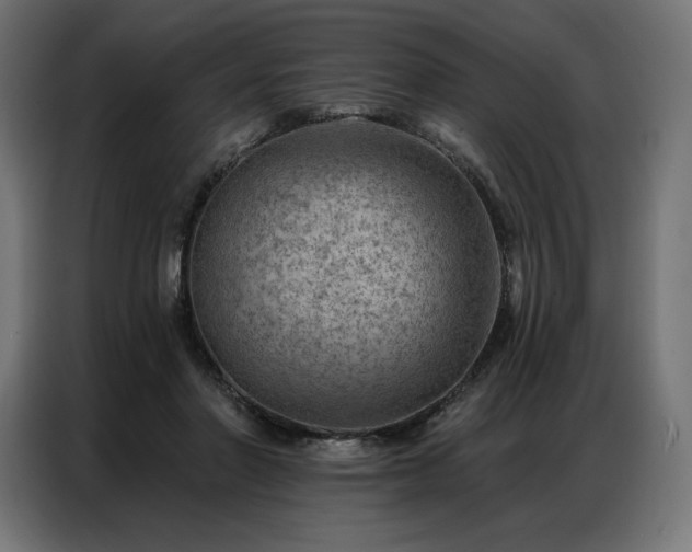 X0000086980406200704161452