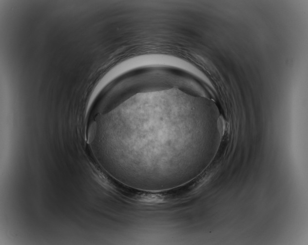 X0000086980409200704161452
