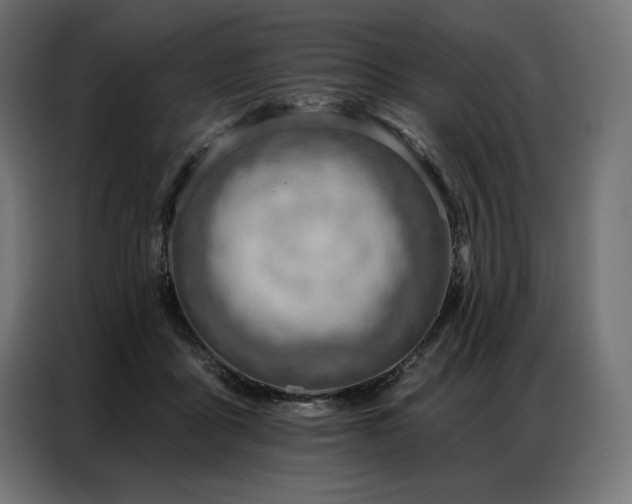 X0000086980411200704161452