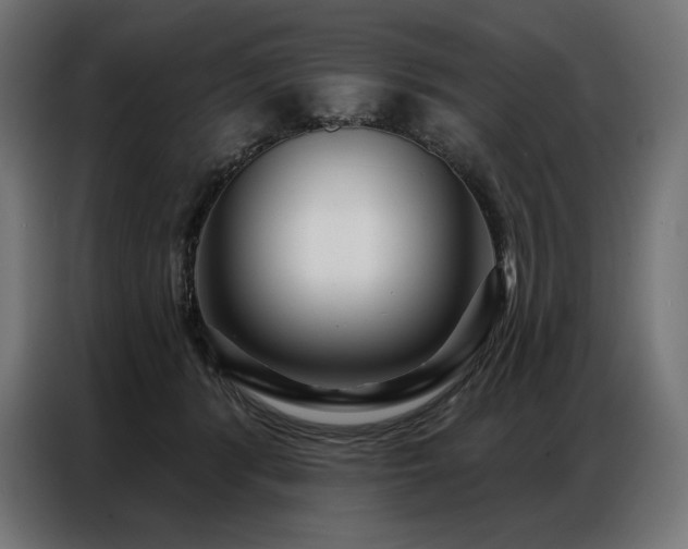 X0000086980416200704161452
