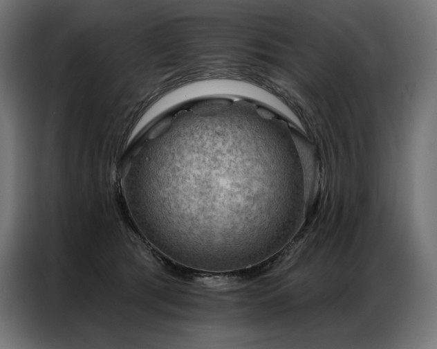 X0000086980417200704161451