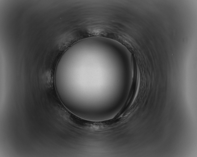 X0000086980420200704161451