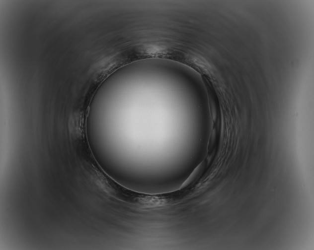 X0000086980421200704161451