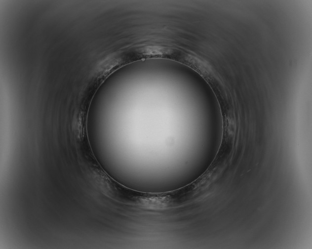 X0000086980422200704161451