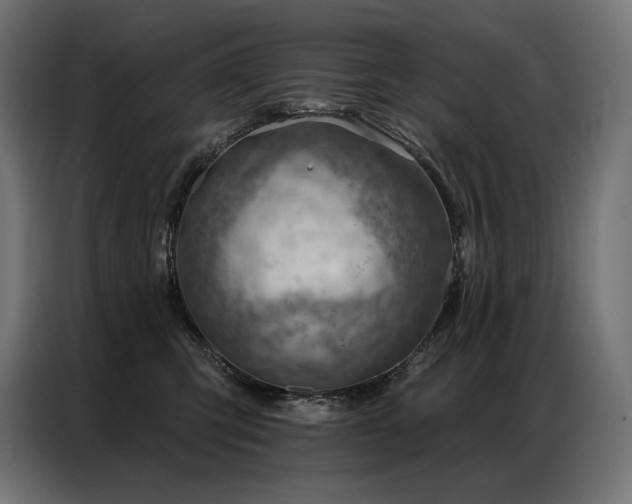 X0000086980423200704161451