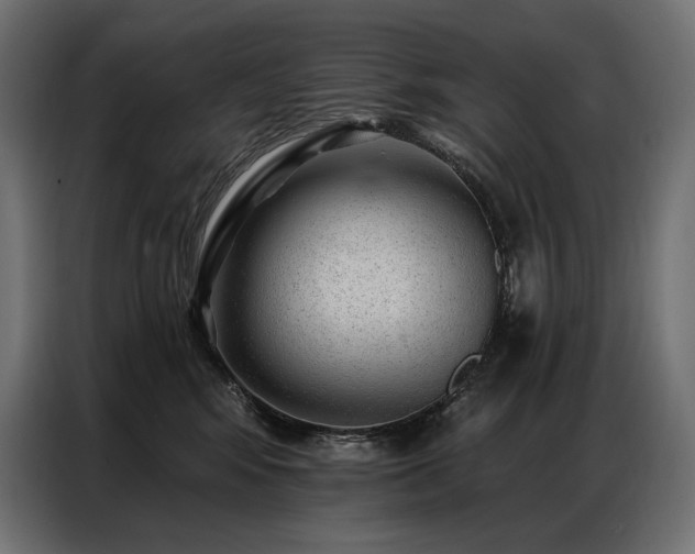 X0000086980424200704161451