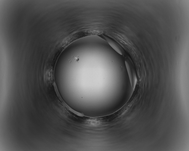 X0000086980425200704161451