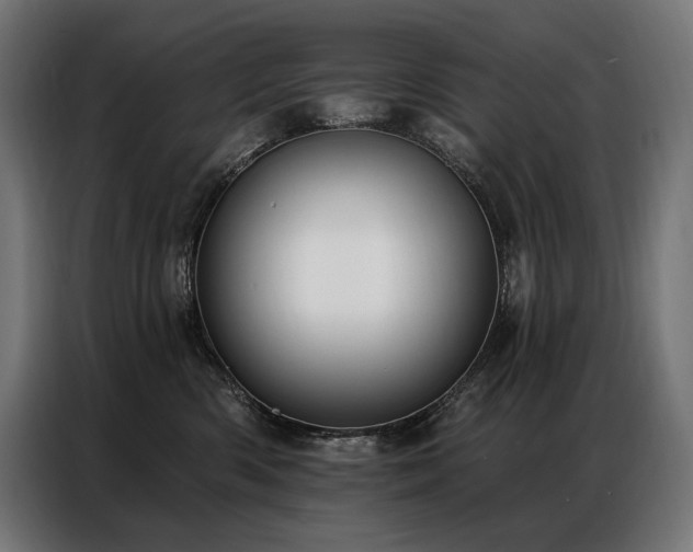 X0000086980426200704161451