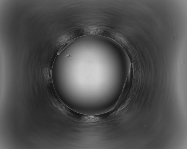 X0000086980429200704161451