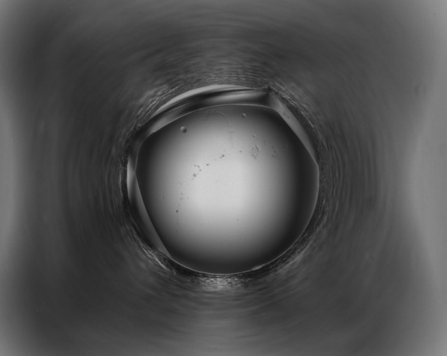X0000086980432200704161451