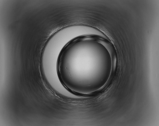 X0000086980434200704161451