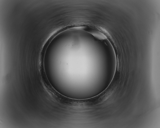 X0000086980435200704161451