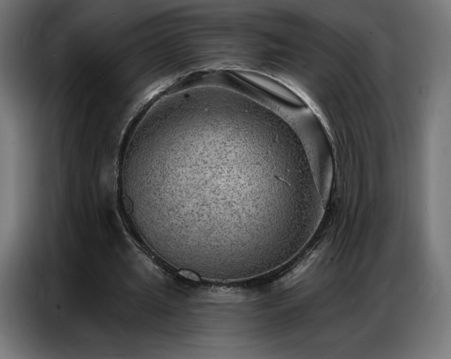 X0000086980437200704161451