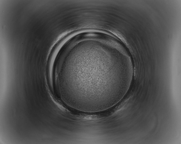 X0000086980438200704161451