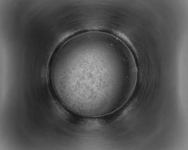 X0000086980439200704161451