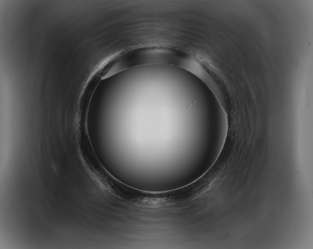 X0000086980440200704161451
