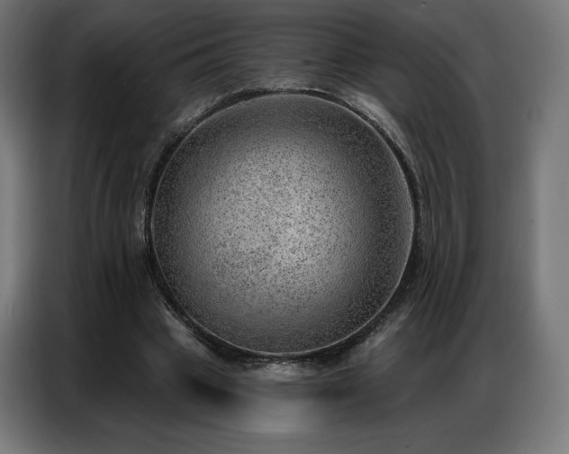 X0000086980441200704161451